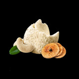 Cashew Fig (Kaju Anjeer)